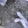 Lucky dip engraved snowflake decorative lens decoration. Made from reclaimed glasses lenses. - Image 5